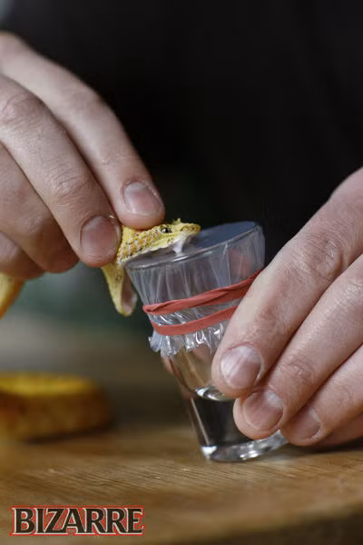 Thay vì để rắn cắn trực tiếp, Steve tự chọn loại rắn độc, lấy nọc rồi tiêm vào cơ thể. Đây là một quá trình hết sức rắc rối đòi hỏi sự tỉ mỉ và tập trung cao độ.