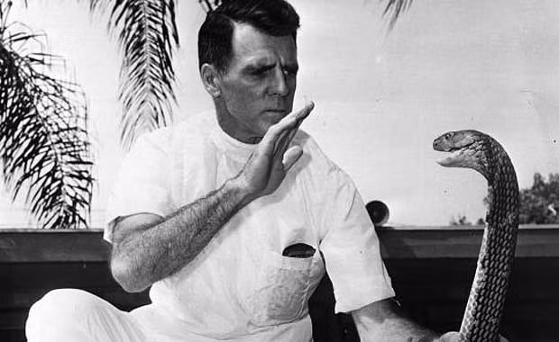 Tính đến năm 2008, Bill Haast đã bị rắn cắn đến… 172 lần nhưng vẫn có thể sống mạnh khỏe và trường thọ.