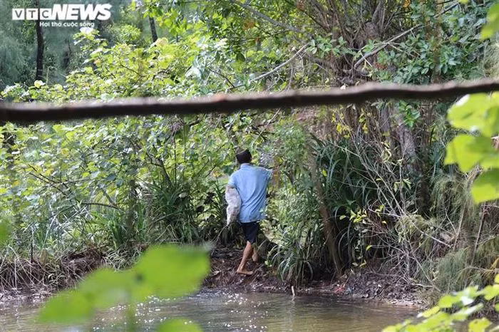 Dù biết chính quyền địa phương cấm, nhưng vì muốn kiếm thêm ít tiền lo cho con cái nên người dân vẫn cứ tiếp nối nghề của cha ông. Vào thời điểm lực lượng chức năng tuần tra, nhiều người bẫy chim trái phép bỏ chạy.
