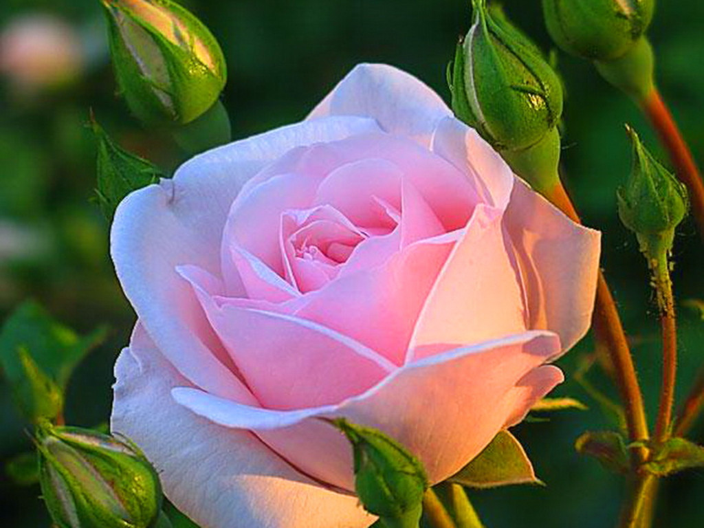 Sinh ngày 3 và 21 Âm lịch. Theo tử vi, người sinh vào ngày mùng 3 và 21 Âm lịch thường duyên dáng, dễ gần. Họ khéo ăn khéo nói nên được lòng mọi người. Người sinh vào ngày Âm lịch này có phước báu dồi dào, gặp nhiều may mắn hơn người khác mấy lần.