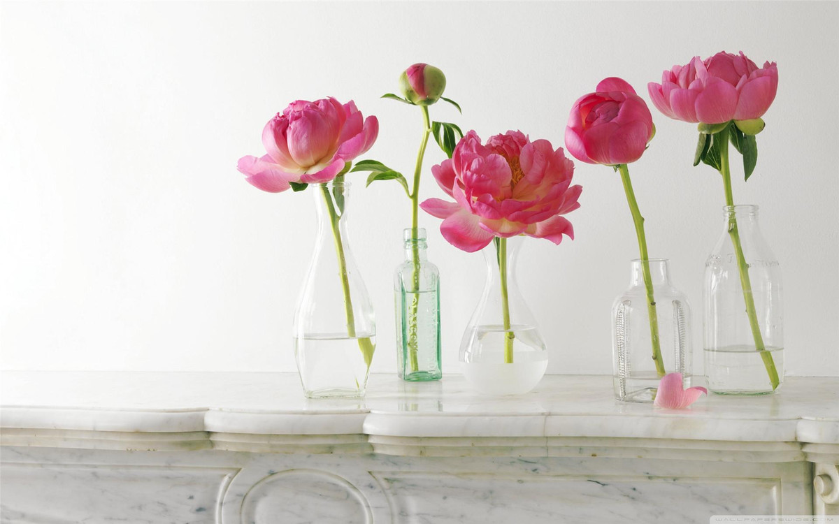 Dù xuất thân nghèo hèn nhưng họ biết tu chí làm ăn, sự nghiệp đều xuôi thuận. Không những thế, người sinh vào ngày 15 và 19 Âm lịch hàng tháng thường có sức khỏe dồi dào, số mệnh trường thọ nên làm giàu không khó. Bằng khối óc và bàn tay lao động, họ gây dựng được sự nghiệp thành công, thuận lợi đáng ngưỡng mộ. 