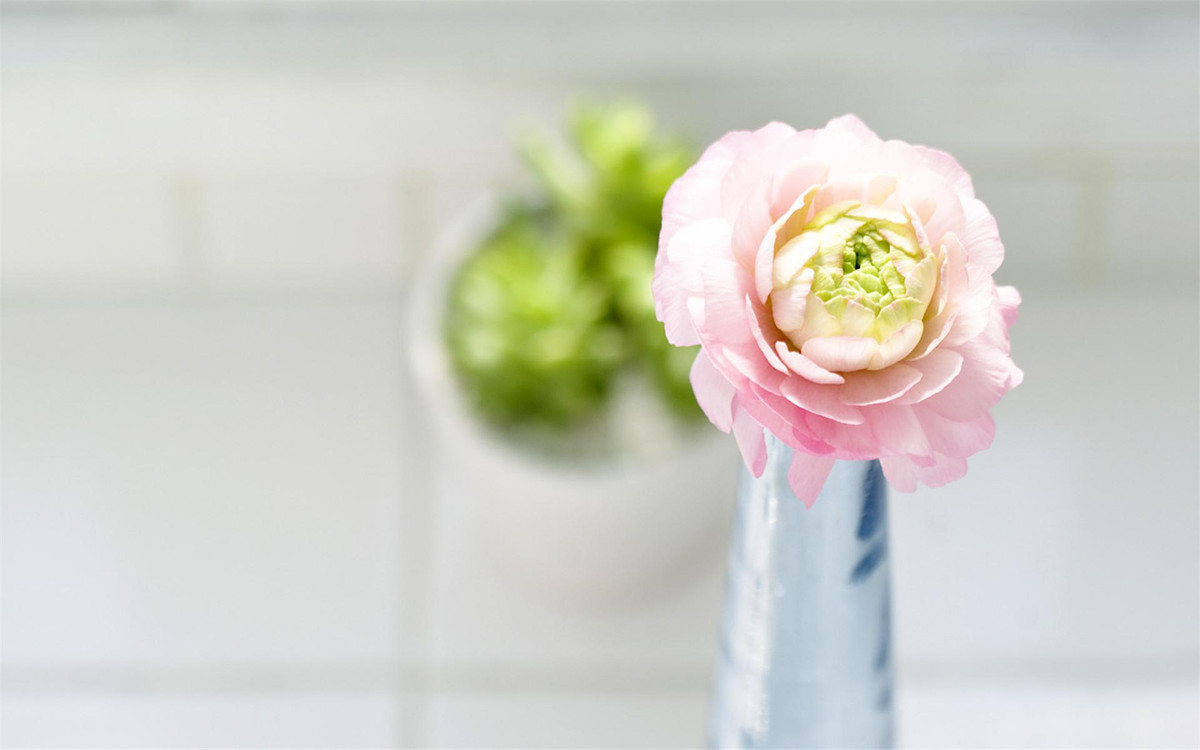 Người sinh vào ngày 30 Âm lịch thường vượng vận quý nhân. Xung quanh họ có nhiều người tốt, mang đến cho họ nhiều cơ hội quý giá trong sự nghiệp.