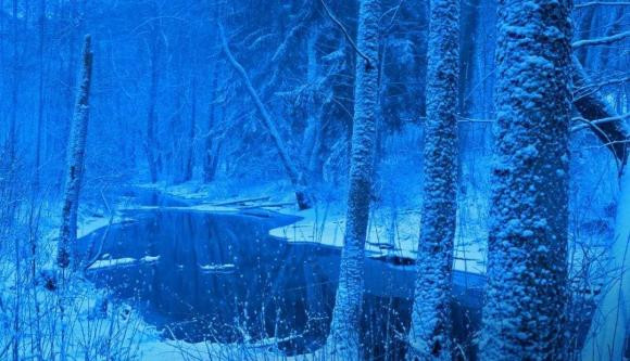 Nguoi sinh vao thang may thi nam 2023 may man den ngap long?-Hinh-2