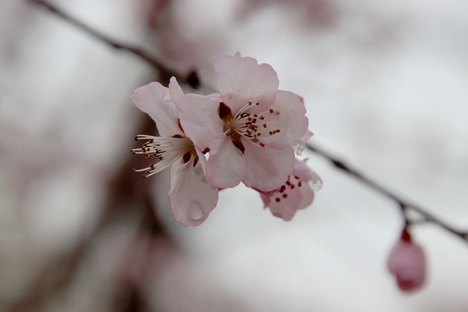 Sinh vào 6 ngày Âm lịch này, năm 2023 có quý nhân nâng đỡ Sinh vao 6 ngay Am lich nay, nam 2023 co quy nhan nang do