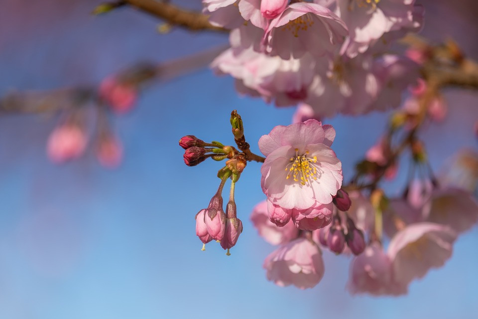 Sinh vào 6 ngày Âm lịch này, năm 2023 có quý nhân nâng đỡ - Hình 3 Sinh vao 6 ngay Am lich nay, nam 2023 co quy nhan nang do-Hinh-3