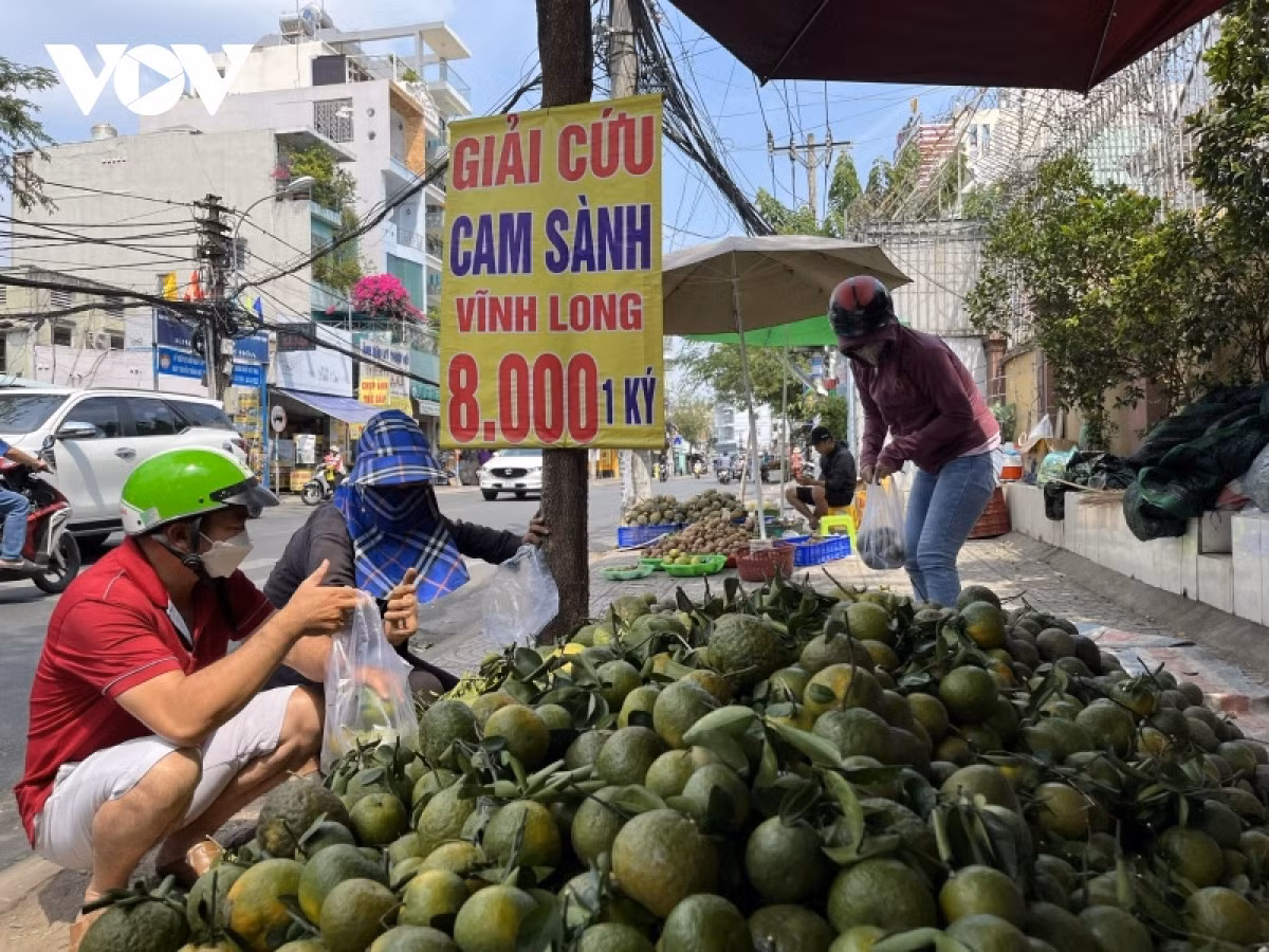 Dua nhau trong roi ‘vo tran’: Cam sanh dang phai ‘giai cuu’