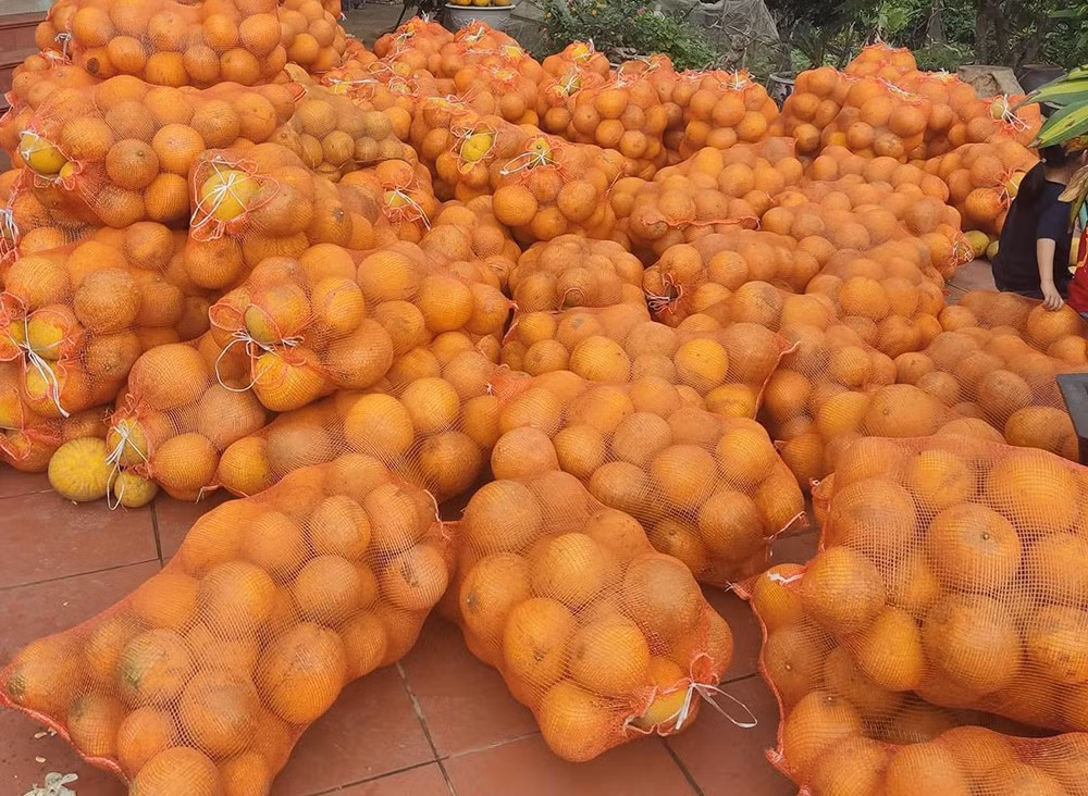 Dua nhau trong roi ‘vo tran’: Cam sanh dang phai ‘giai cuu’-Hinh-2