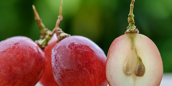 Moi ngay an 1 trong 6 mon nay, da hong hao, tre ra vai tuoi-Hinh-5