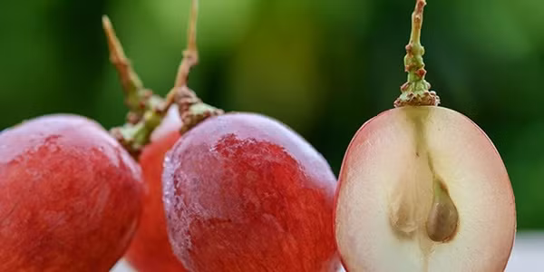 Moi ngay an 1 trong 6 mon nay, da hong hao, tre ra vai tuoi-Hinh-5