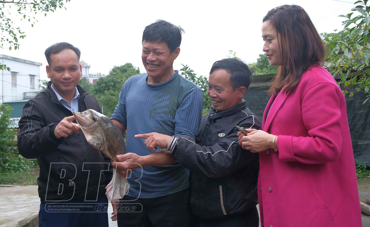 Nuoi ba ba, trong hoa cay canh, nhieu nong dan o Thai Binh giau len