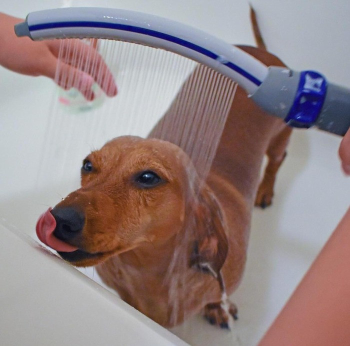 13 mon do thuc su la phat minh dinh cao-Hinh-5