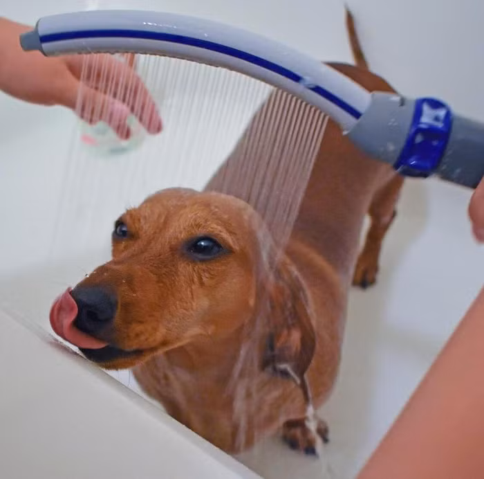 13 mon do thuc su la phat minh dinh cao-Hinh-5