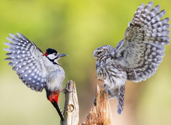 Nguoi sinh vao 3 thang Am lich nay tinh thong, tien bac khong thieu