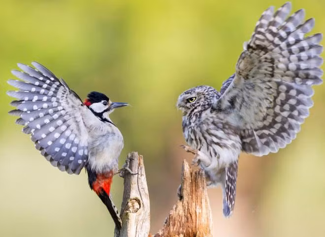 Nguoi sinh vao 3 thang Am lich nay tinh thong, tien bac khong thieu