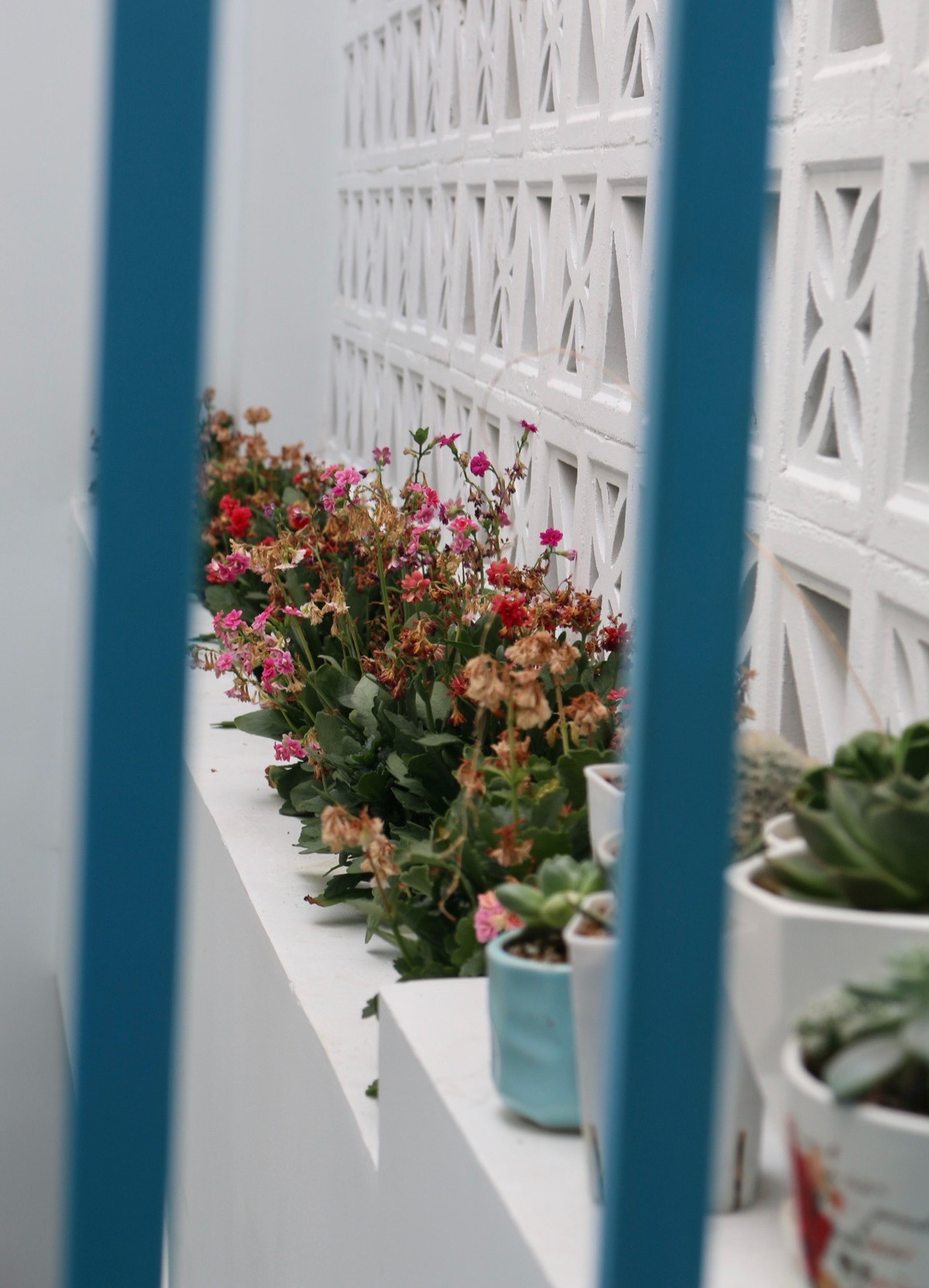 Ngôi nhà phố biển thông gió mát lịm, không gian đóng mở ảnh 4