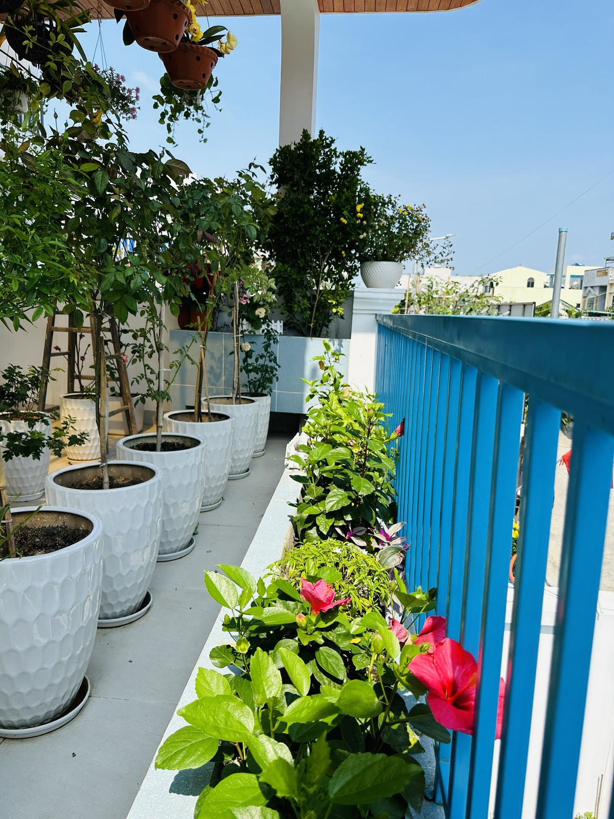 Ngoi nha pho bien thong gio mat lim, khong gian dong mo-Hinh-13