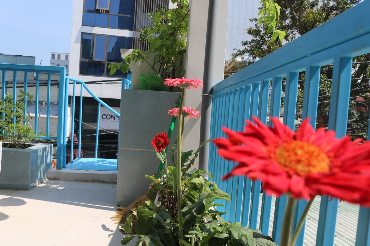 Ngôi nhà phố biển thông gió mát lịm, không gian đóng mở - Hình 15 Ngoi nha pho bien thong gio mat lim, khong gian dong mo-Hinh-15