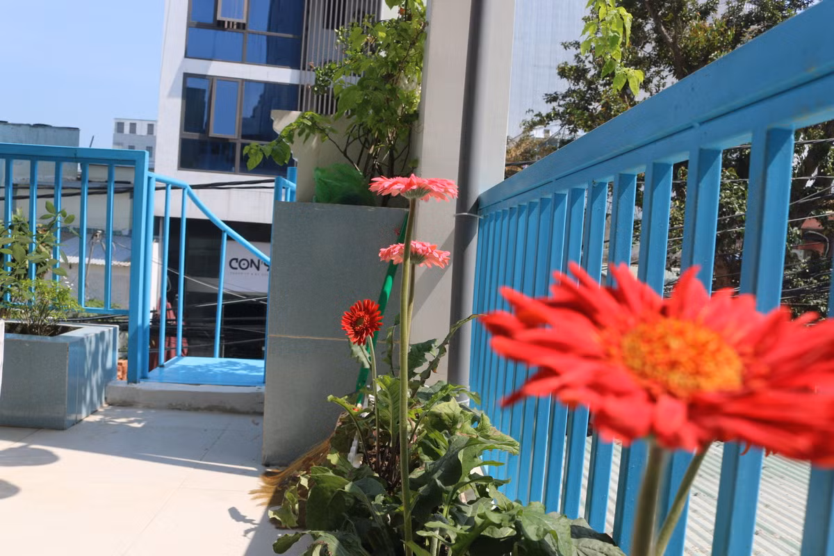 Ngoi nha pho bien thong gio mat lim, khong gian dong mo-Hinh-15