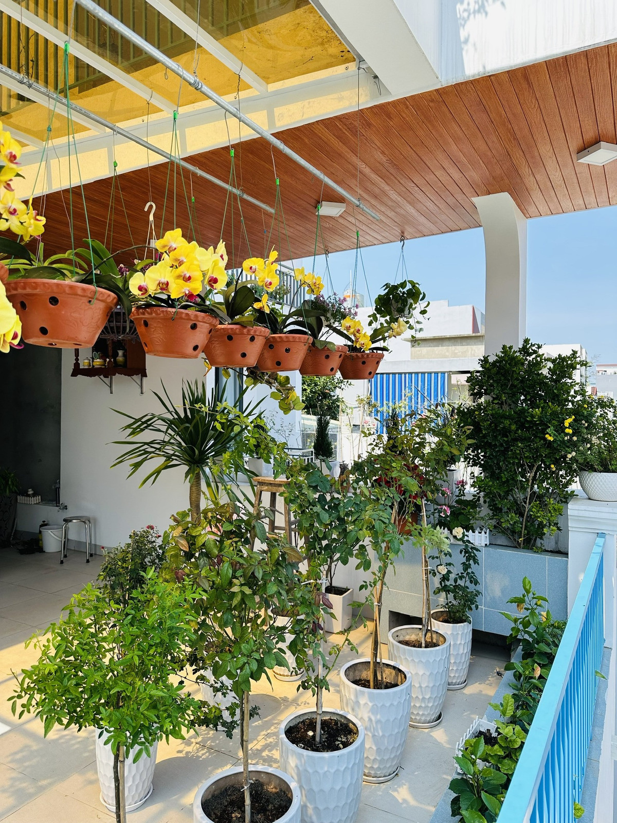 Ngoi nha pho bien thong gio mat lim, khong gian dong mo-Hinh-12