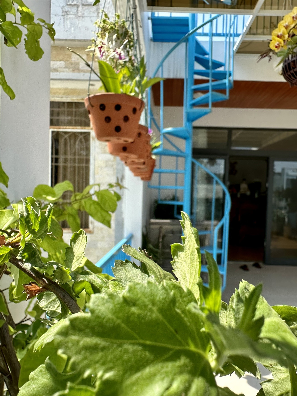 Ngoi nha pho bien thong gio mat lim, khong gian dong mo-Hinh-14