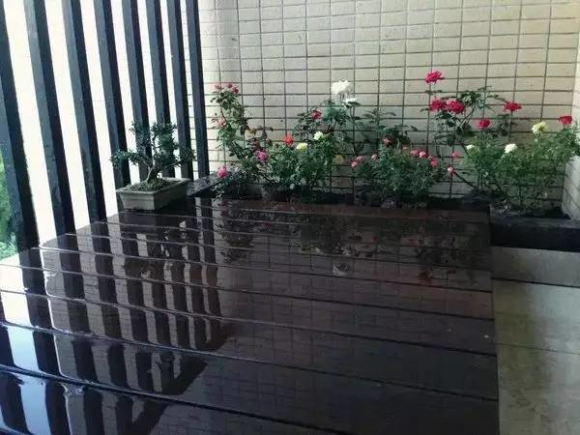 Xay ho ca coi tren ban cong chi phi chua den 2 trieu dong-Hinh-6