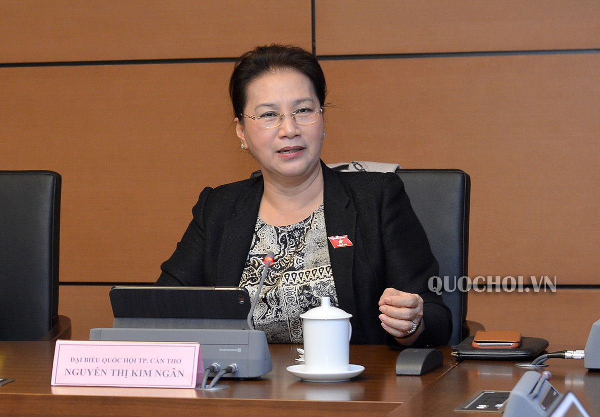 Thu tuong: Han che phat trien thuy dien nho, khong lay rung va dat rung-Hinh-3