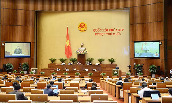 Dai bieu chuyen trach Quoc hoi khoa XV phai la Giam doc so, Vu truong tro len-Hinh-2