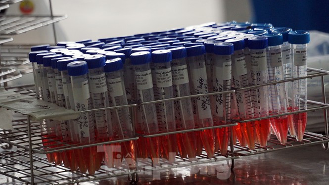 Nam sinh o Chi Linh duong tinh SARS-CoV-2 sau 8 lan xet nghiem