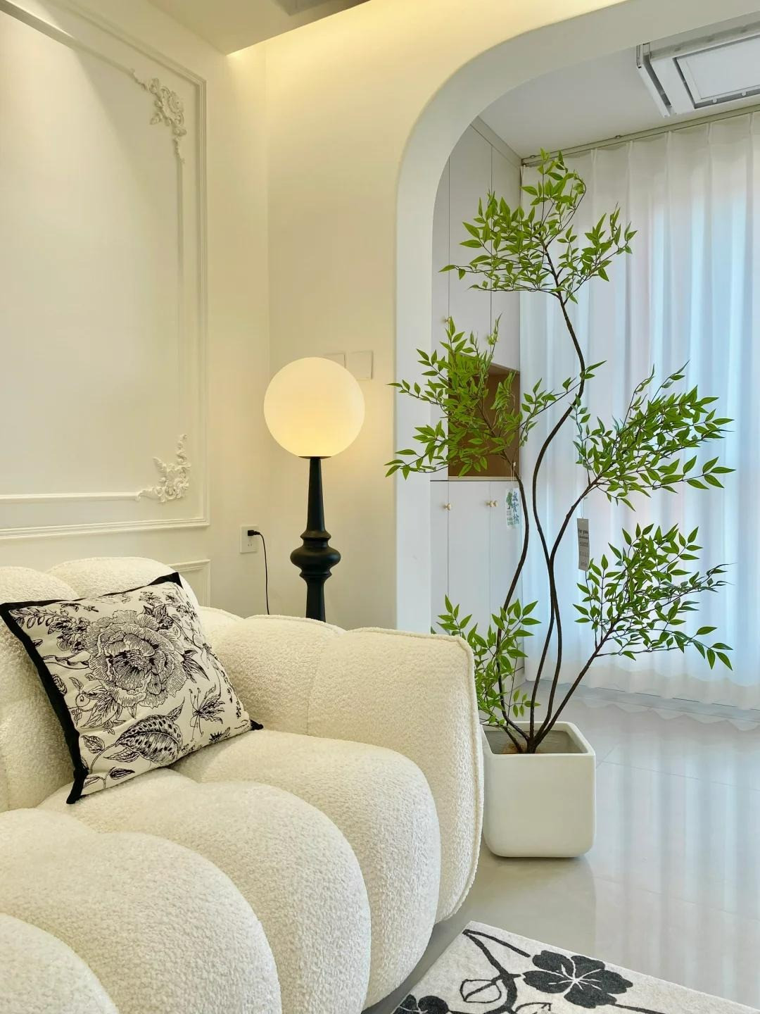 Vẻ ngoài độc đáo, dáng vẻ thanh lịch của cây cảnh này khiến nhiều người giàu ưa thích và bài trí chúng trong nhà. Đặt cây cảnh này trong phòng khách rất trang nhã, tươi đẹp, phong độ.