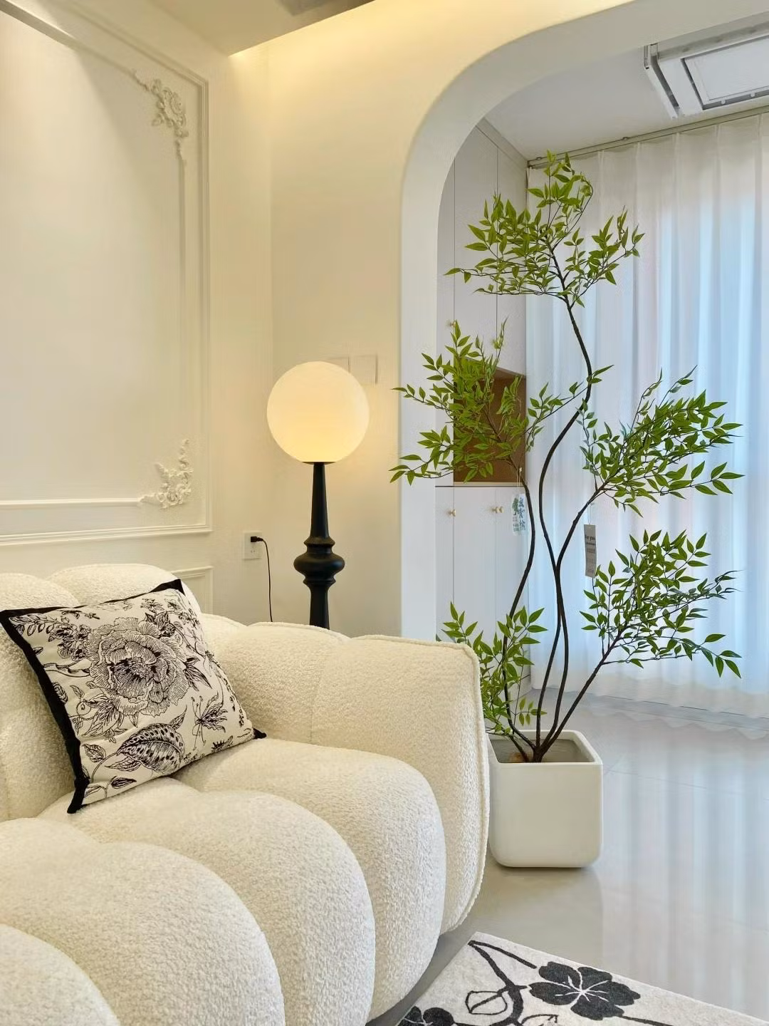 Vẻ ngoài độc đáo, dáng vẻ thanh lịch của cây cảnh này khiến nhiều người giàu ưa thích và bài trí chúng trong nhà. Đặt cây cảnh này trong phòng khách rất trang nhã, tươi đẹp, phong độ.