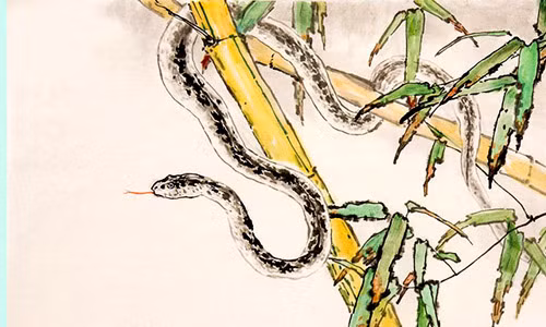 Trời sinh ra Kỷ Tỵ đã có ý nghĩa là luôn mang lại may mắn và hạnh phúc cho mọi người. Nên gia đình có người Kỷ Tỵ cũng được hưởng ké vận may, cuộc sống cũng sung túc và đủ đầy hơn.