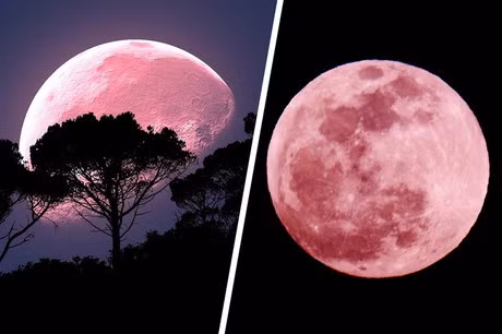 Từ tối 12/6 đến rạng sáng 15/6, những người yêu thích thiên văn có thể quan sát siêu trăng dâu tây với độ tròn gần như tuyệt đối. Đây sẽ là dịp trăng tròn nhất và đáng chờ đợi nhất trong năm nay. 