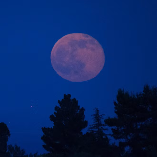 Trăng dâu tây còn gắn liền với tình yêu và hạnh phúc lứa đôi. Thời điểm này, con người sẽ thấy tràn đầy năng lượng sống, tăng được sự lạc quan và vui vẻ. Họ cũng có xu hướng muốn kết đôi và xây dựng tổ ấm hơn các thời điểm khác trong năm.