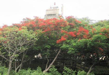 Biệt điện Bảo Đại nhìn từ xa.