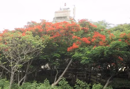 Biệt điện Bảo Đại nhìn từ xa.