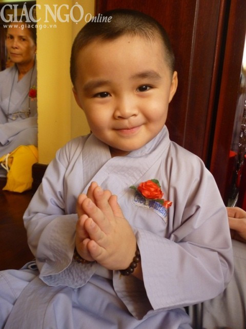 Ảnh minh họa của Như Danh.