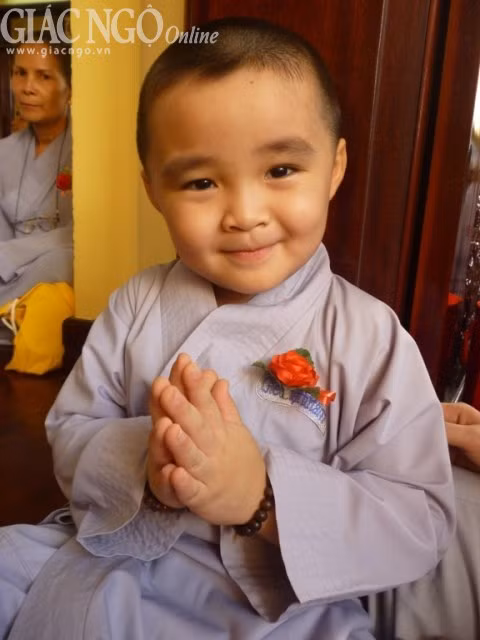 Ảnh minh họa của Như Danh.