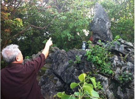 Ông Đặng Viết Hợi đứng trước "Mẹ đá".