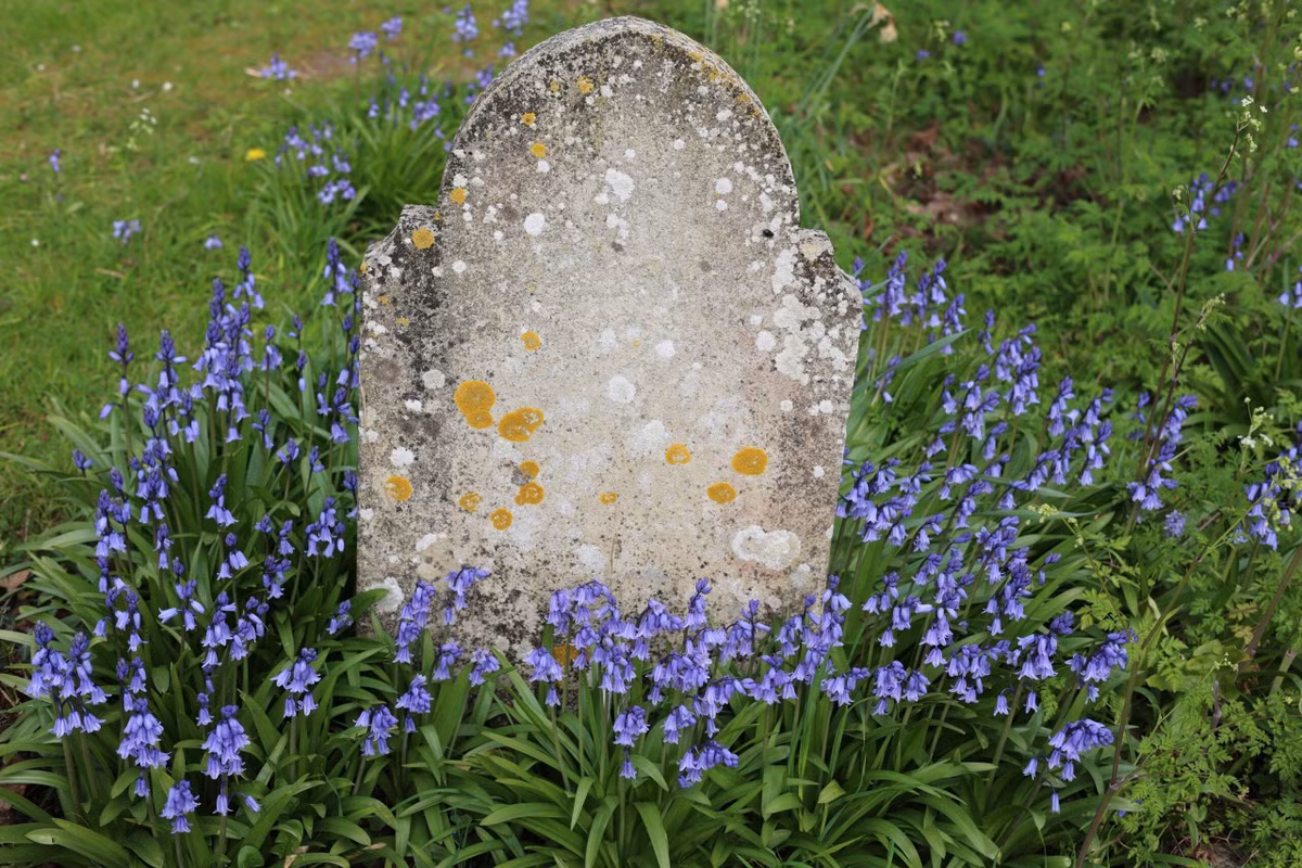 Nghi le an tang nguoi qua co bat dau tu khi nao?-Hinh-2