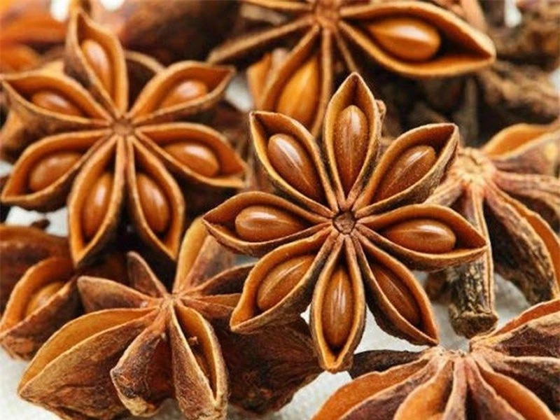  Cây hồi hầu như chỉ có tại Việt Nam và Trung Quốc cũng như sản xuất với số lượng lớn nhờ vào điều kiện thuận lợi. 