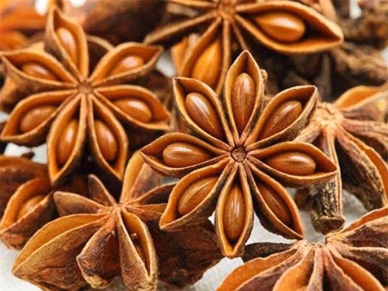  Cây hồi hầu như chỉ có tại Việt Nam và Trung Quốc cũng như sản xuất với số lượng lớn nhờ vào điều kiện thuận lợi. 