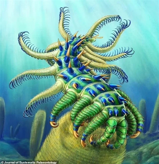 Giật mình tàn tích sinh vật có gai "ngoài hành tinh", các chi quẫy đạp Giat minh tan tich sinh vat co gai