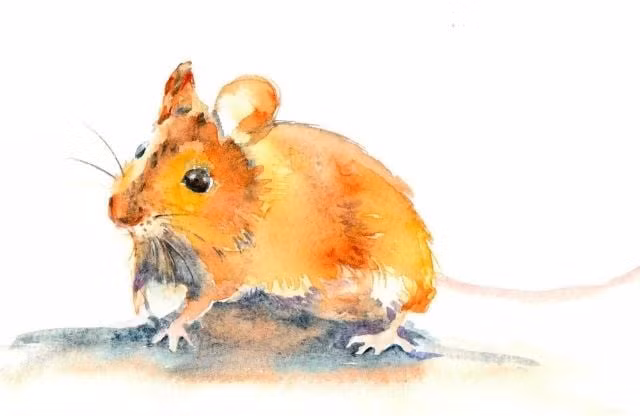 Hãy hạn chế tranh cãi, gây thù chuốc oán với người khác kẻo bị những tổn thương không đáng có. Dù xảy ra chuyện gì, đôi bên cũng nên bình tĩnh trò chuyện với nhau. (Bài viết mang tính tham khảo, chiêm nghiệm).