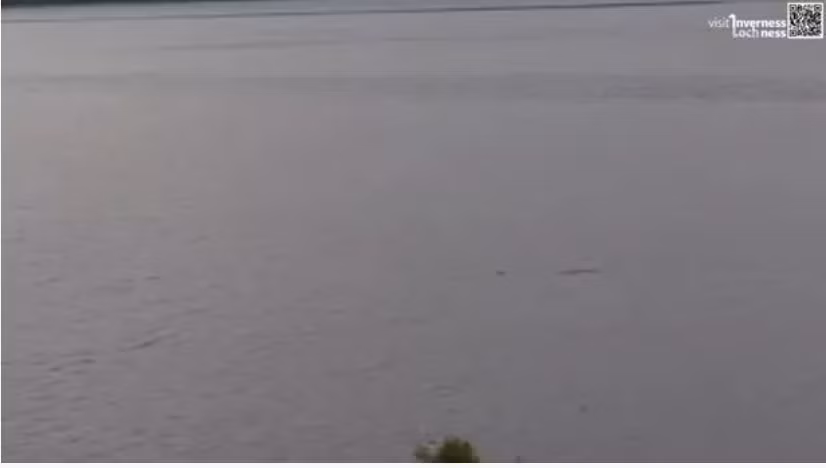 Phát hiện sinh vật to bằng chiếc Ford Transit nghi “quái vật hồ Loch Ness" Phat hien sinh vat to bang chiec Ford Transit nghi “quai vat ho Loch Ness