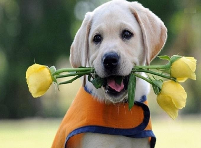 Hãy biến mình thành vườn hoa tươi đẹp, rực rỡ sắc màu thì không có ong hay bướm nào có thể từ chối sức hút từ bạn cả. Thế nên nếu tình duyên chưa đủ may mắn thì việc duy nhất cần làm đó là cải thiện bản thân mỗi ngày.