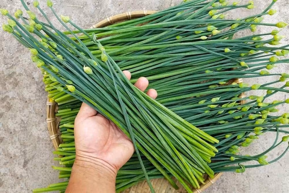 4 loai rau dai bo: Quy nhu nhan sam, ban day cho ai cung mua duoc-Hinh-3