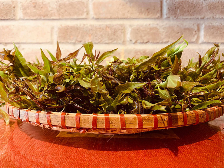 Trên thị trường, rau ngũ gia bình có giá lên tới 90.000 đồng/kg tùy thời điểm