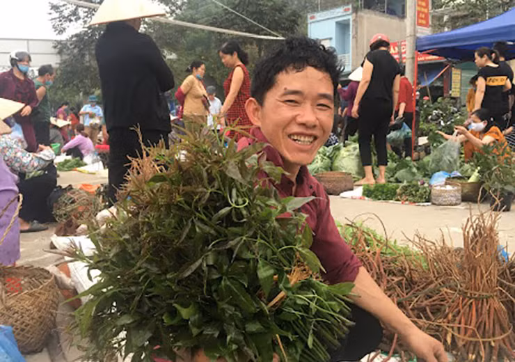 Giờ đây, nhiều bà con đã và đang trồng giống rau “nhân sâm” này, vừa làm rau xanh, vừa có thêm thu nhập khi khách du lịch đặt mua.