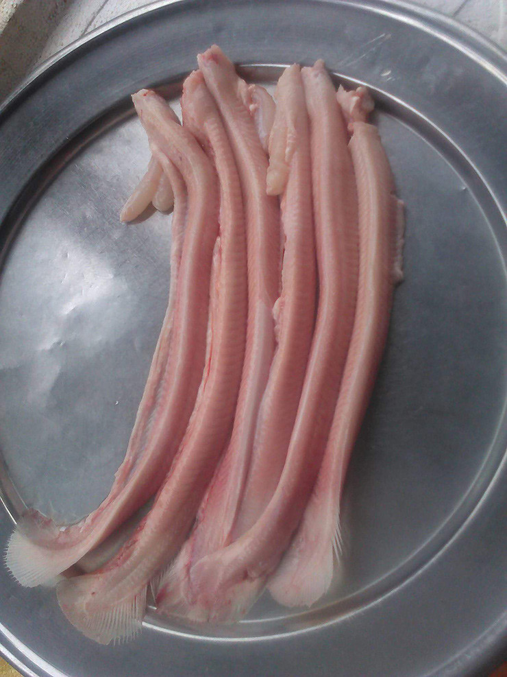 Bây giờ, loài cá "dị hợm" này lại thành đặc sản đắt đỏ, có mặt trong các nhà hàng, quán ăn