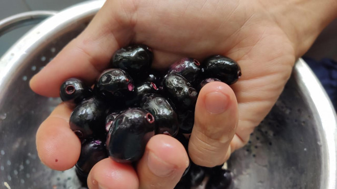 200.000 đồng/kg trâm rừng, muốn mua không dễ - Hình 5 200.000 dong/kg tram rung, muon mua khong de-Hinh-5